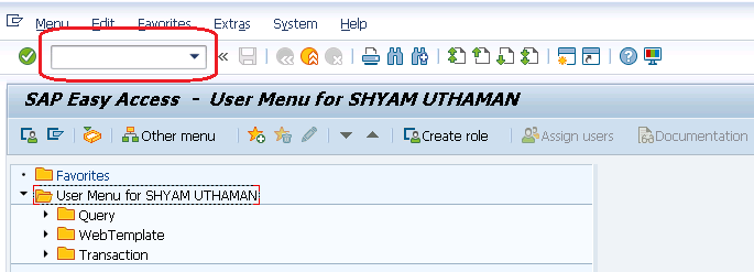 SAP GUI EASY ACCESS SCREEN