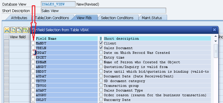 SAP ABAP VIEW skapa SAP ABAP VIEW skapa visa SAP ABAP