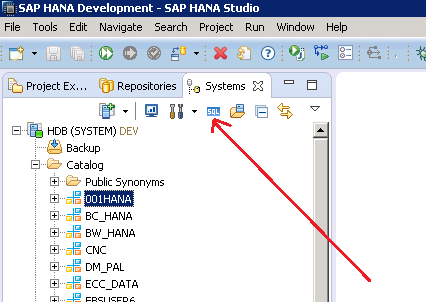 SAP HANA TABLE