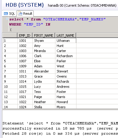 SAP HANA SQL SCRIPT SQL CASE STATEMENT NESTED SELECT