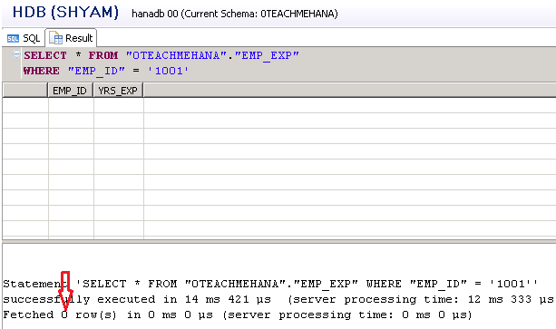 SAP HANA SQL SCRIPT UPDATE DELETE DROP COUNT