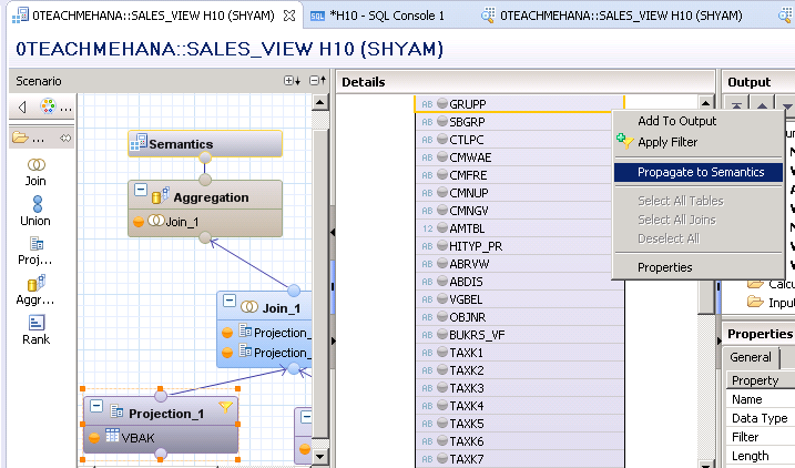 SAP HANA INPUT PARAMETERS IN GRAPHICAL VIEWS CALCULATION VIEWS