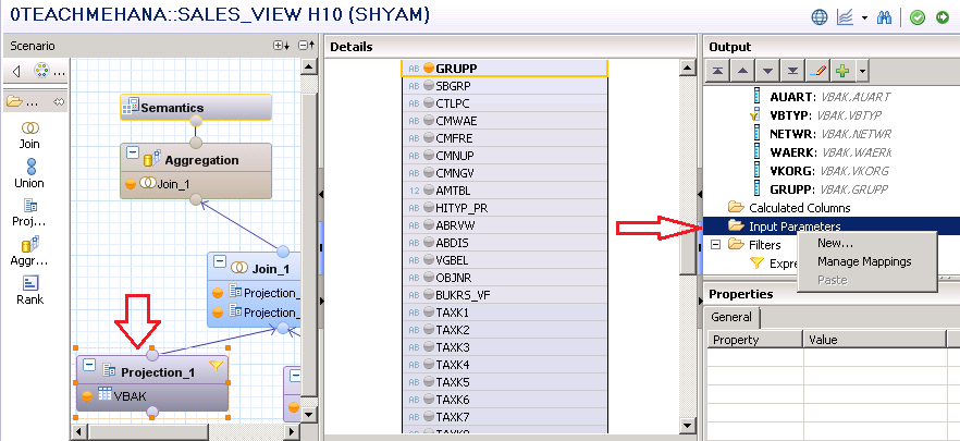 SAP HANA INPUT PARAMETERS IN GRAPHICAL VIEWS CALCULATION VIEWS