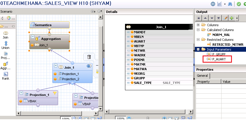 SAP HANA RESTRICTED COLUMN CALCULATION VIEW