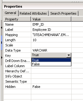 SAP HANA Attribute view