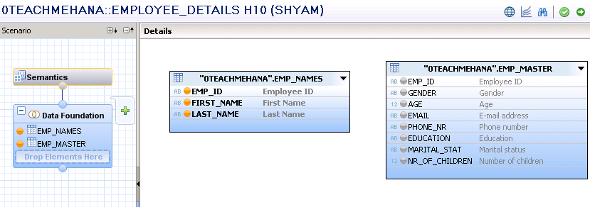 SAP HANA Attribute view