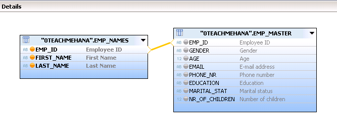 SAP HANA Attribute view